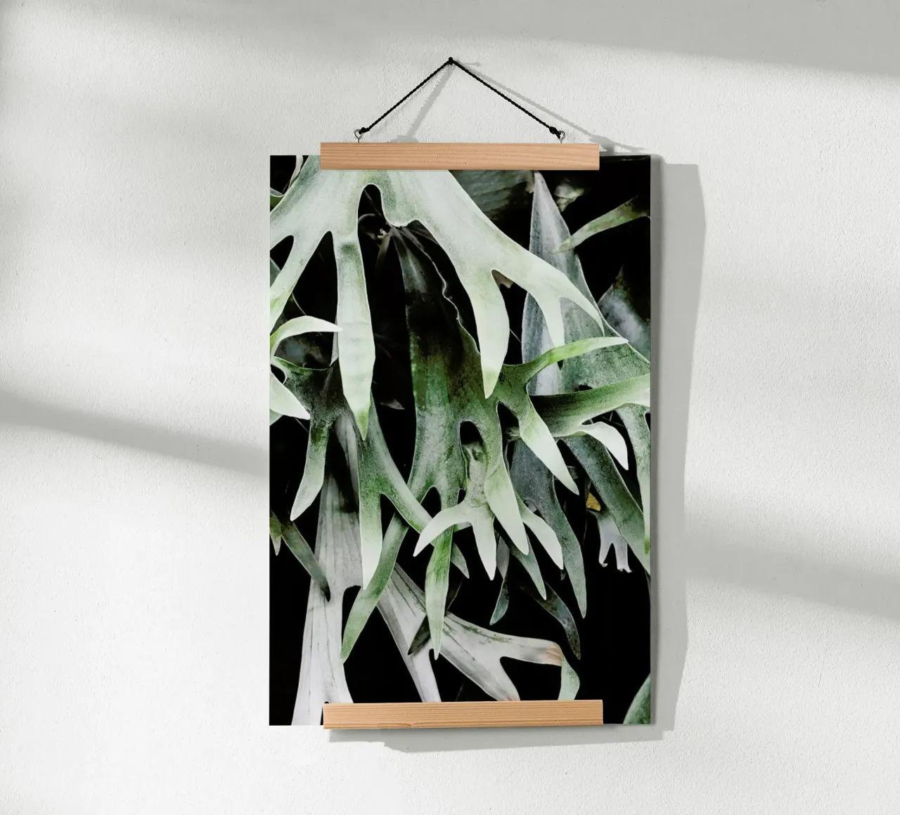 Stag poster da Shot By Clint