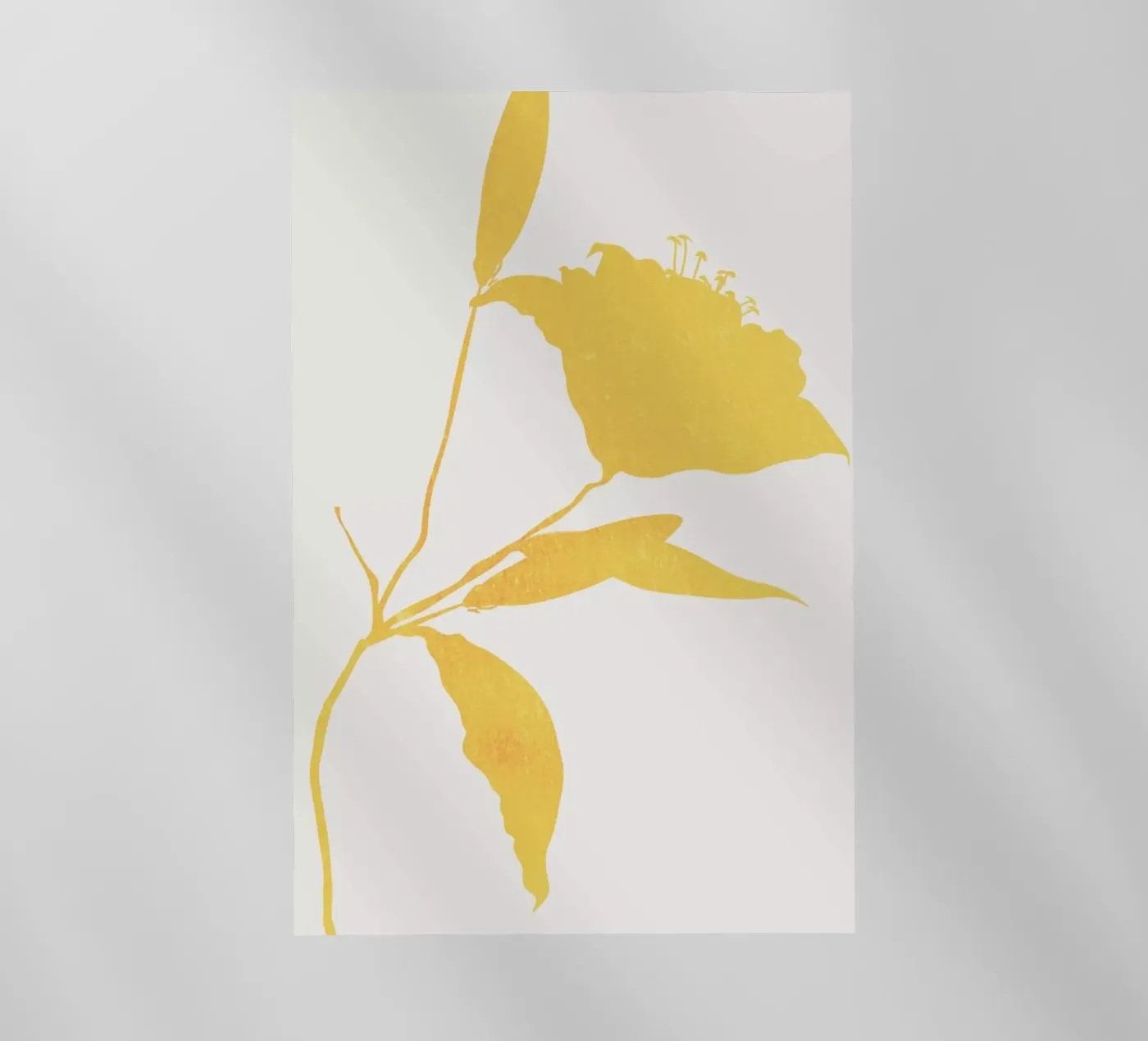 Sunflower pellicola backlit da Kubistika