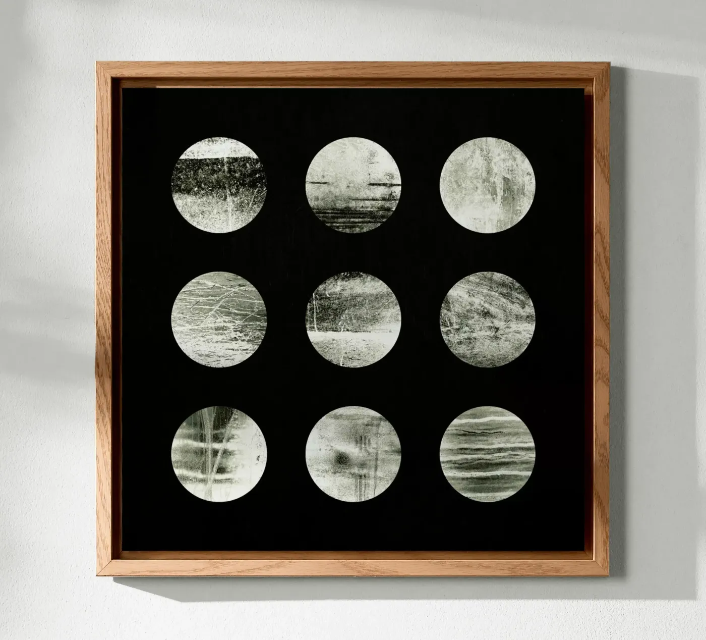 Moons forex-plaat van Elisabeth Fredriksson