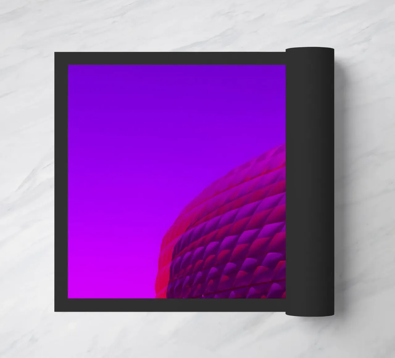 Arena zerbino da Flo Klein