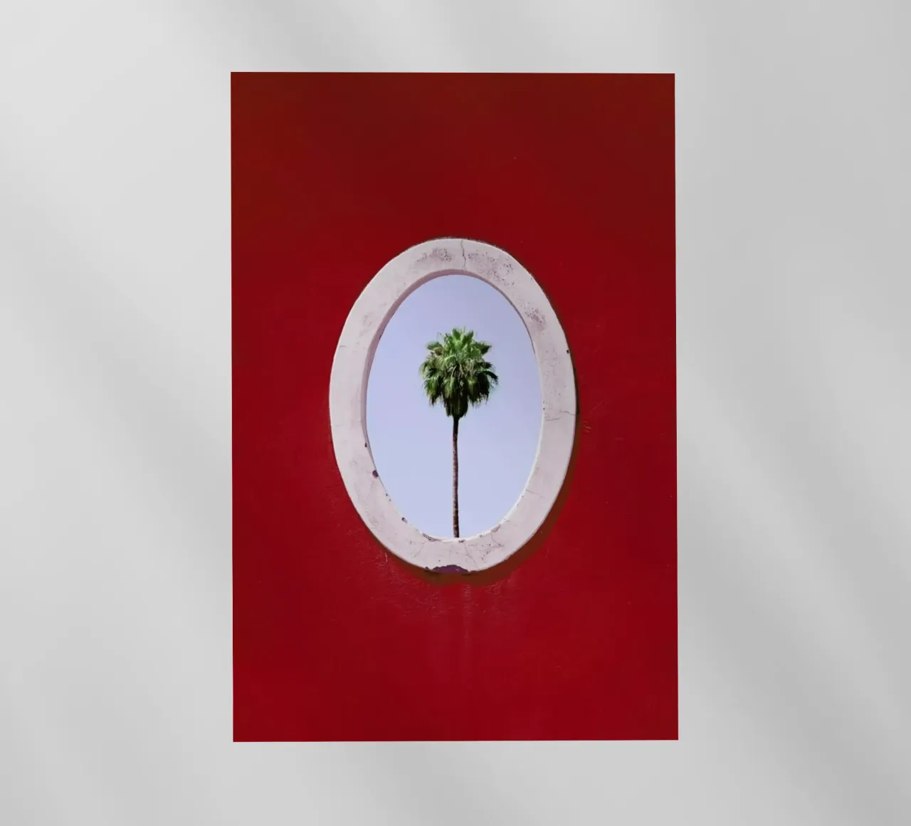 Palm Tree Portrait pellicola backlit da Rupert Höller