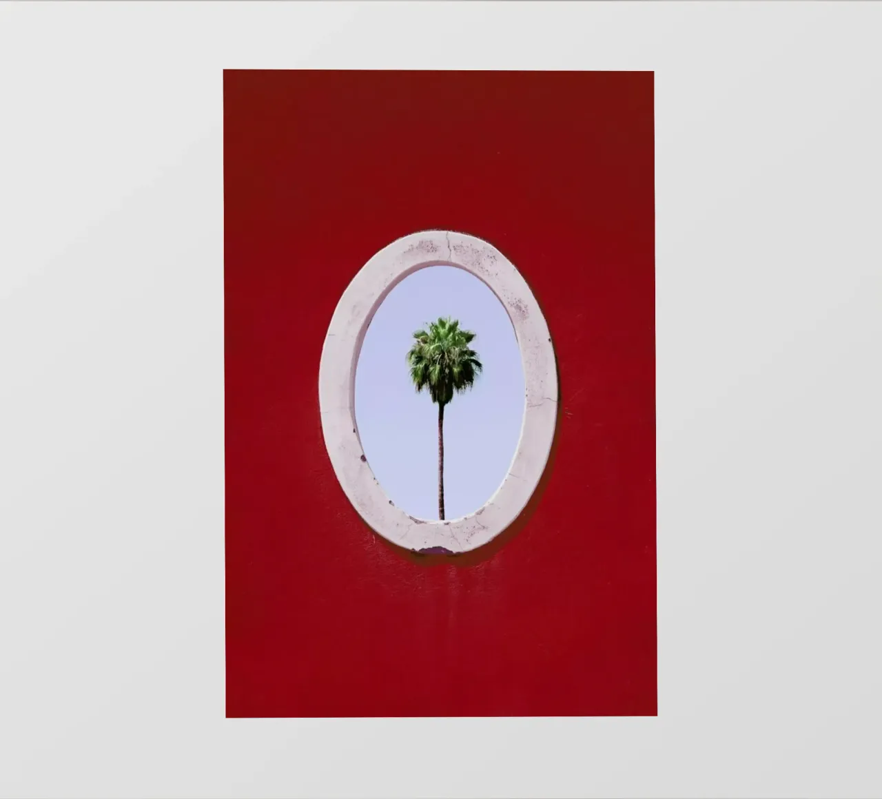 Palm Tree Portrait pellicola backlit da Rupert Höller