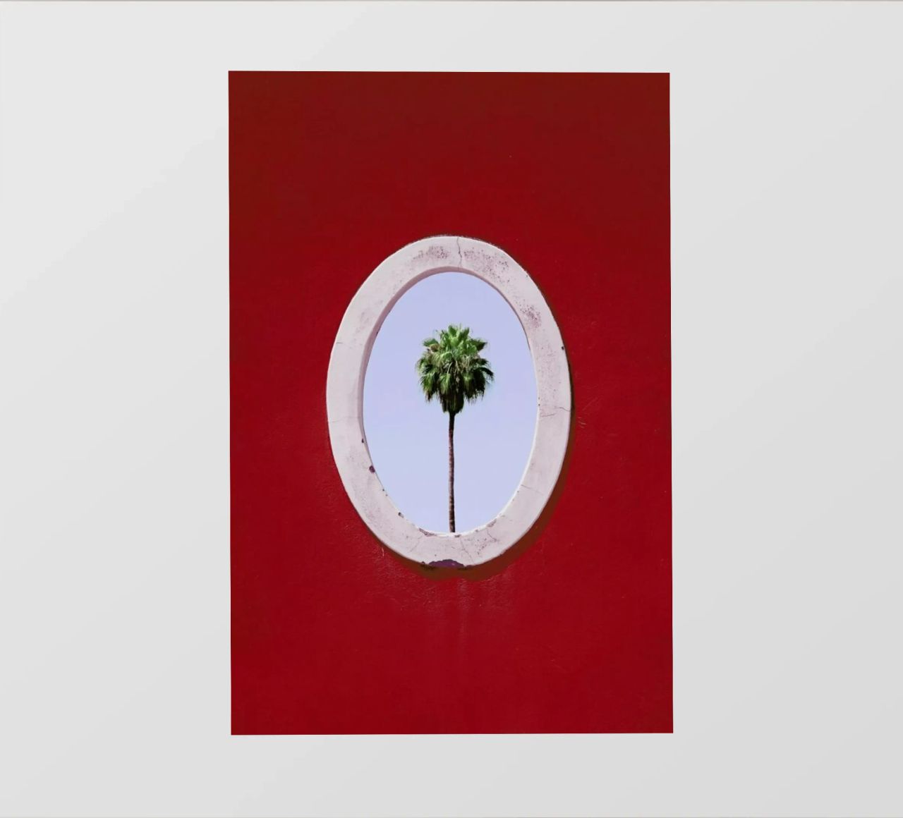 Palm Tree Portrait telo in pvc da Rupert Höller