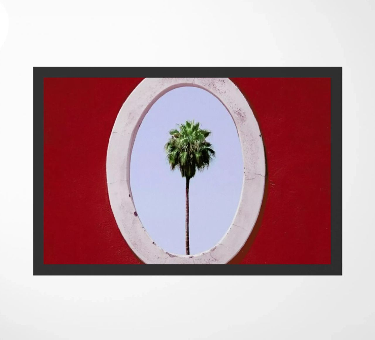 Palm Tree Portrait zerbino da Rupert Höller