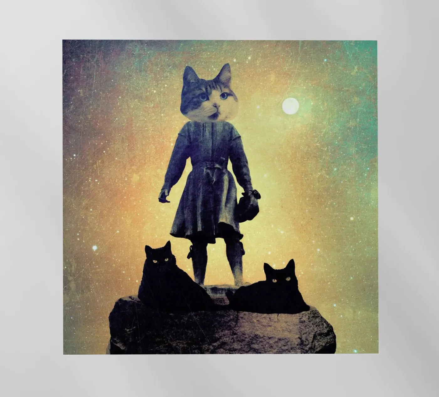Cats pellicola backlit da Elisabeth Fredriksson