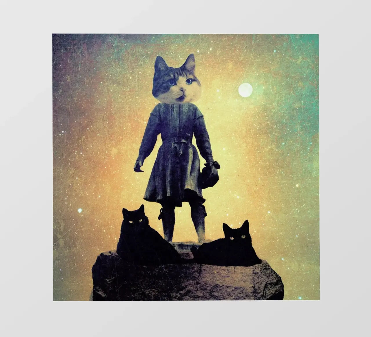 Cats pellicola backlit da Elisabeth Fredriksson