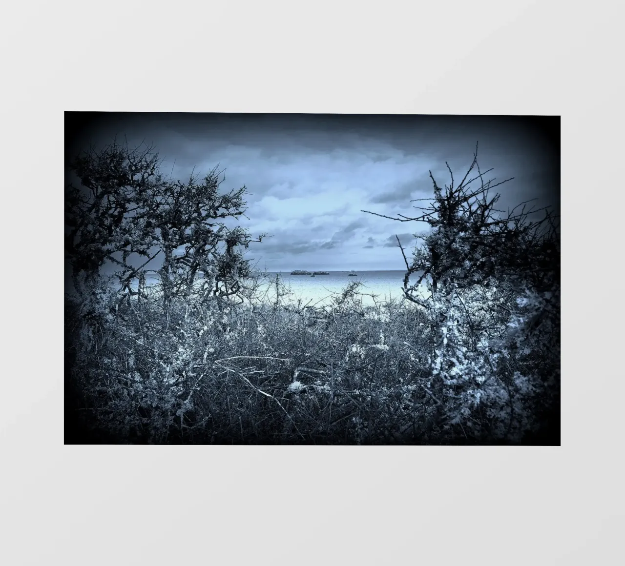 BW43 telo in pvc da Thierry vobmann photography