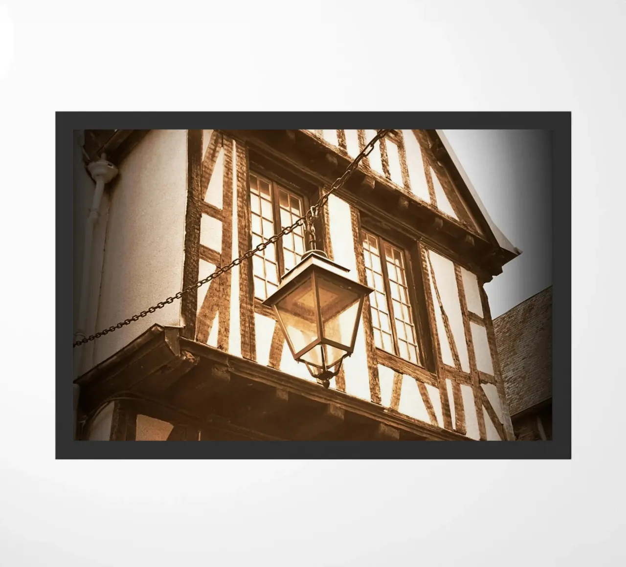 FAA282. VINTAGE PHOTOGRAPH. zerbino da Thierry vobmann photography