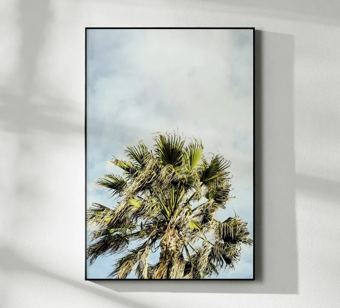 Breezy plexiglas de Shot By Clint