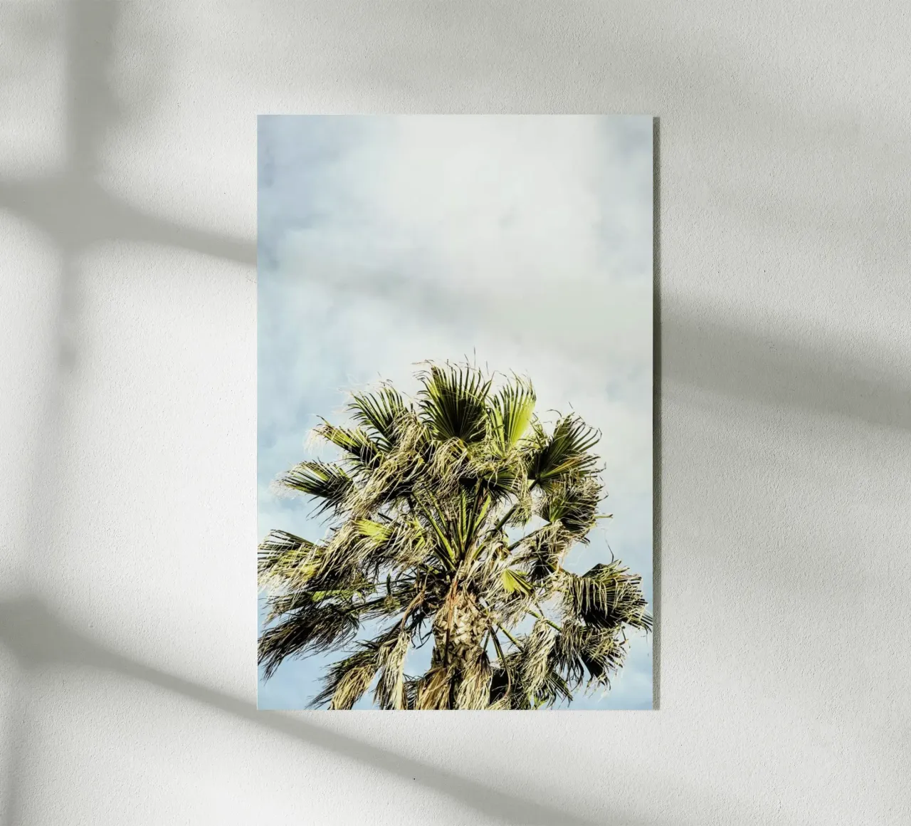 Breezy plexiglass da Shot By Clint