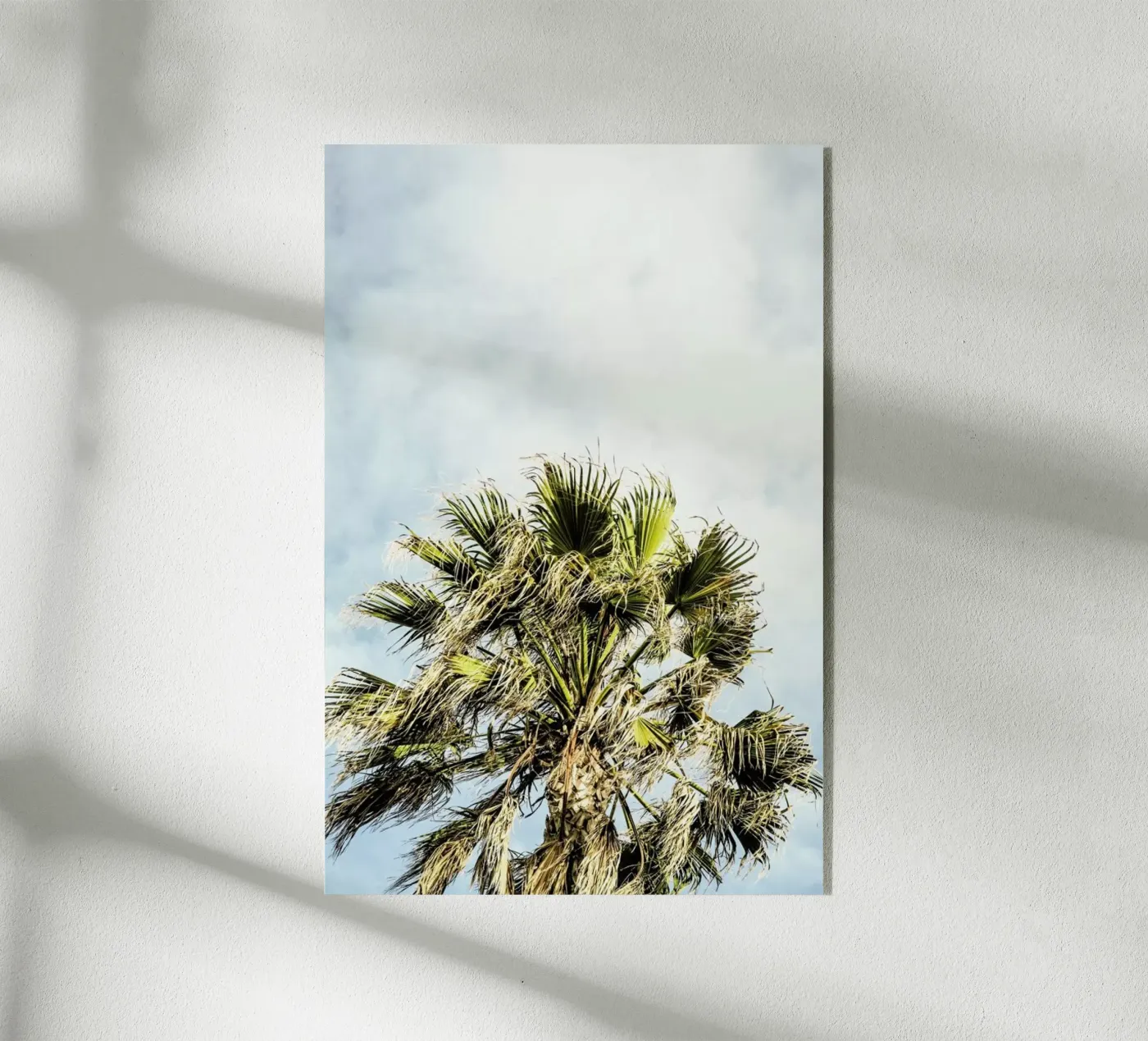 Breezy plexiglas de Shot By Clint