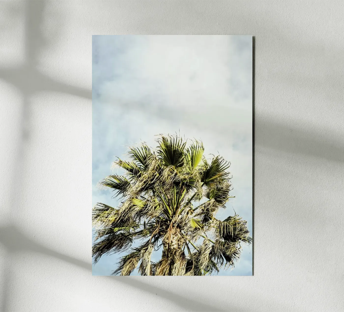 Breezy pannello forex da Shot By Clint