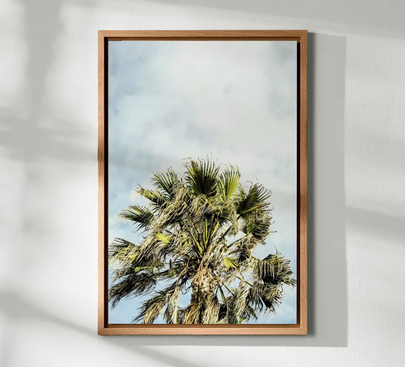 Breezy canvas by Shot By Clint