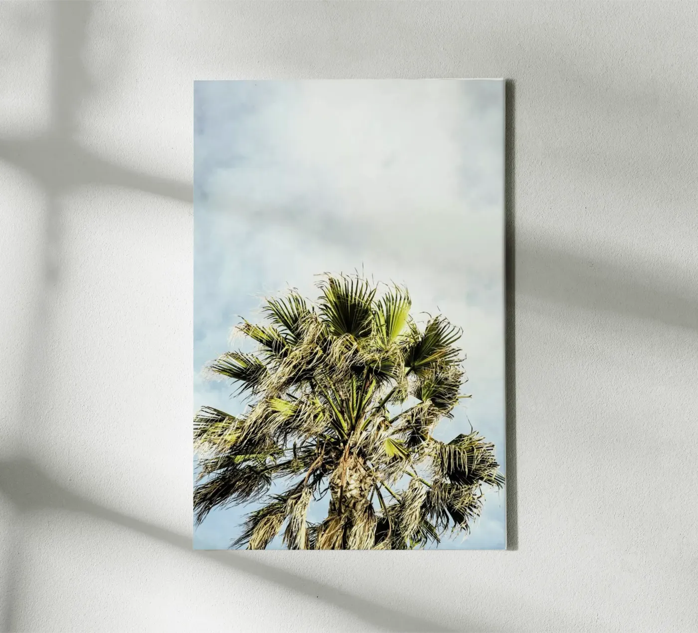 Breezy canvas by Shot By Clint