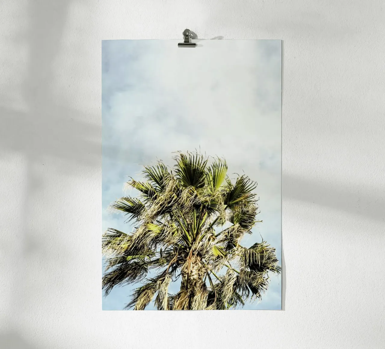 Breezy poster da Shot By Clint