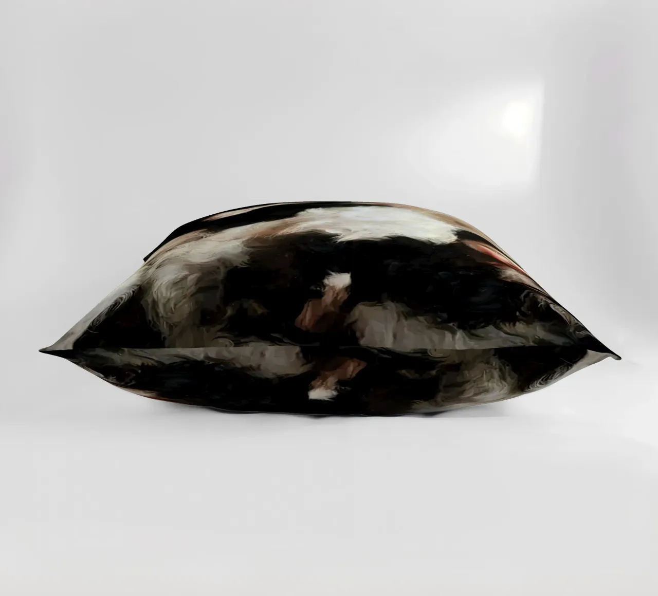 Guillermo Lorca Sofi e i cani cuscino da Birgitart
