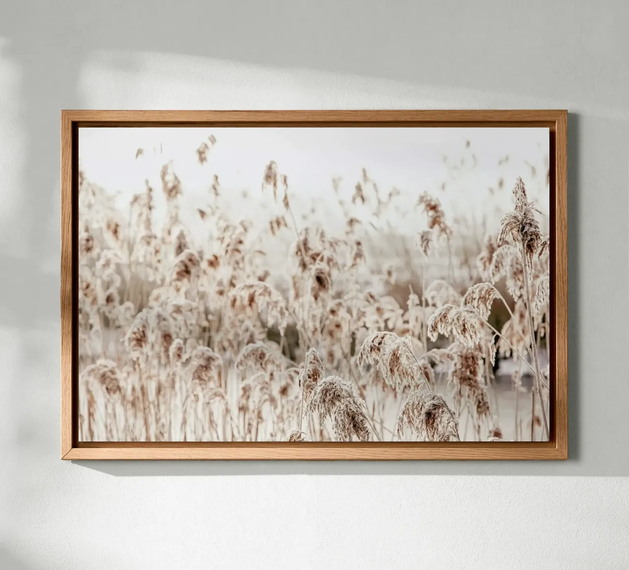 Wild Reeds Leinwand von Monika Strigel