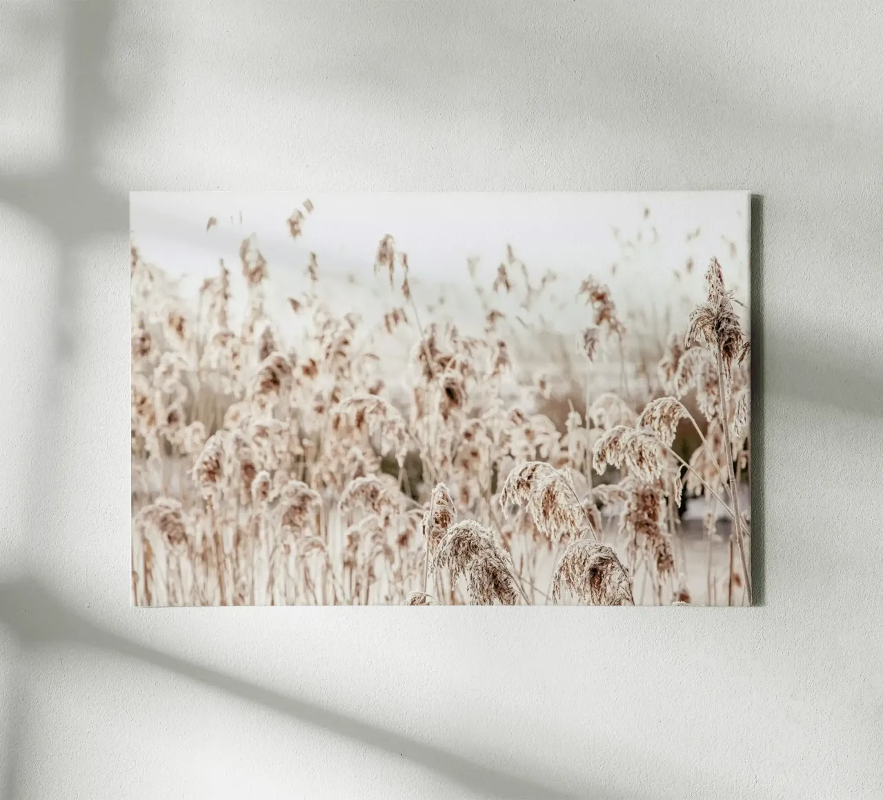 Wild Reeds Leinwand von Monika Strigel