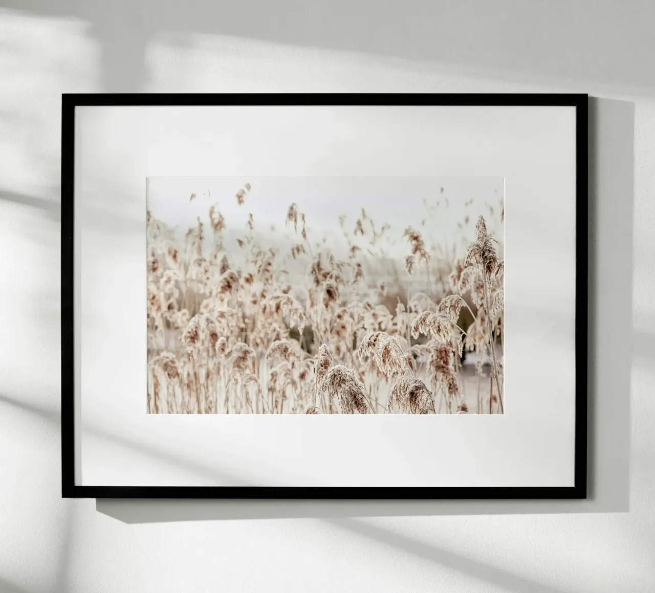 Wild Reeds poster con telaio in alluminio da Monika Strigel