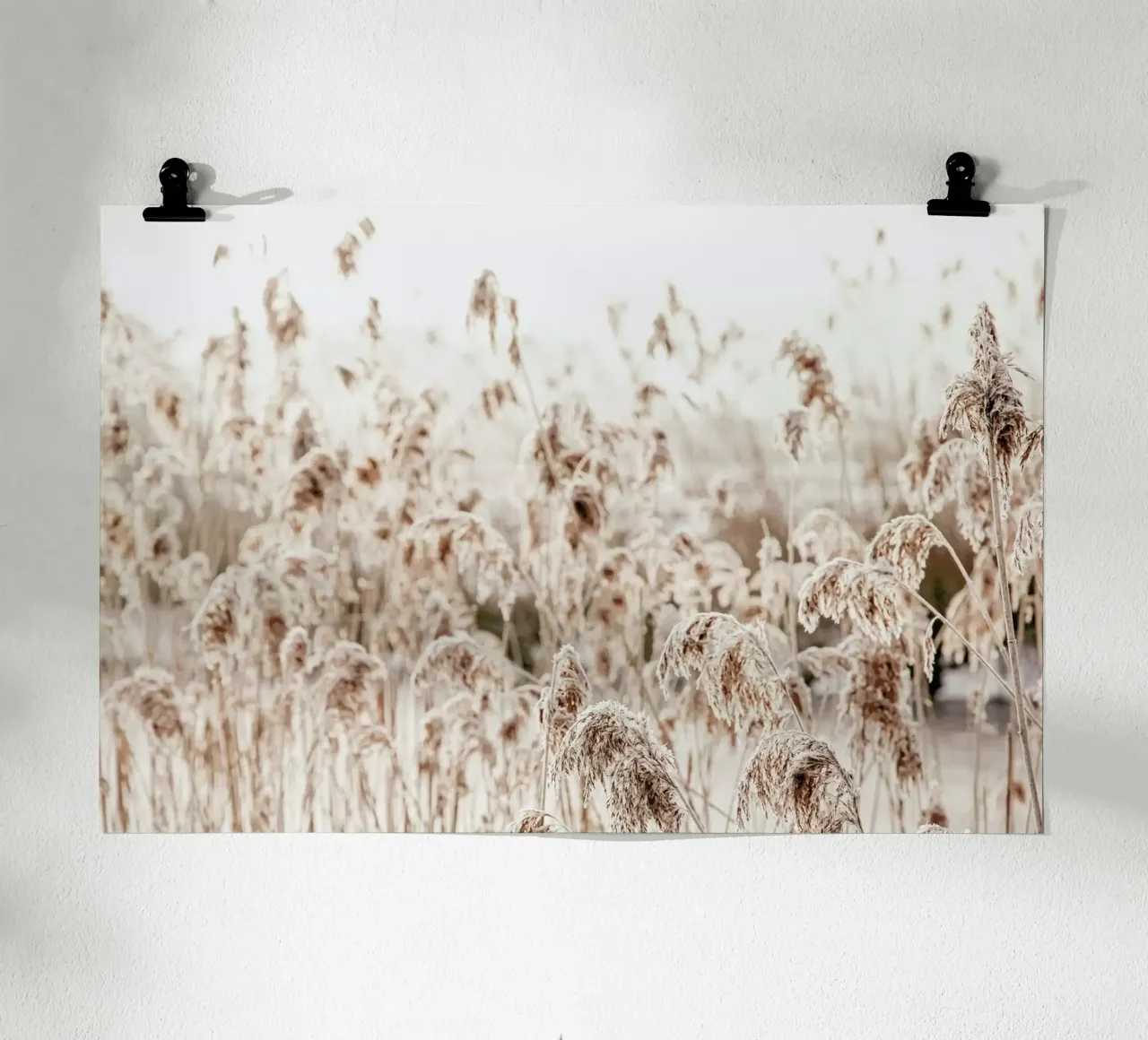 Wild Reeds poster con telaio in alluminio da Monika Strigel