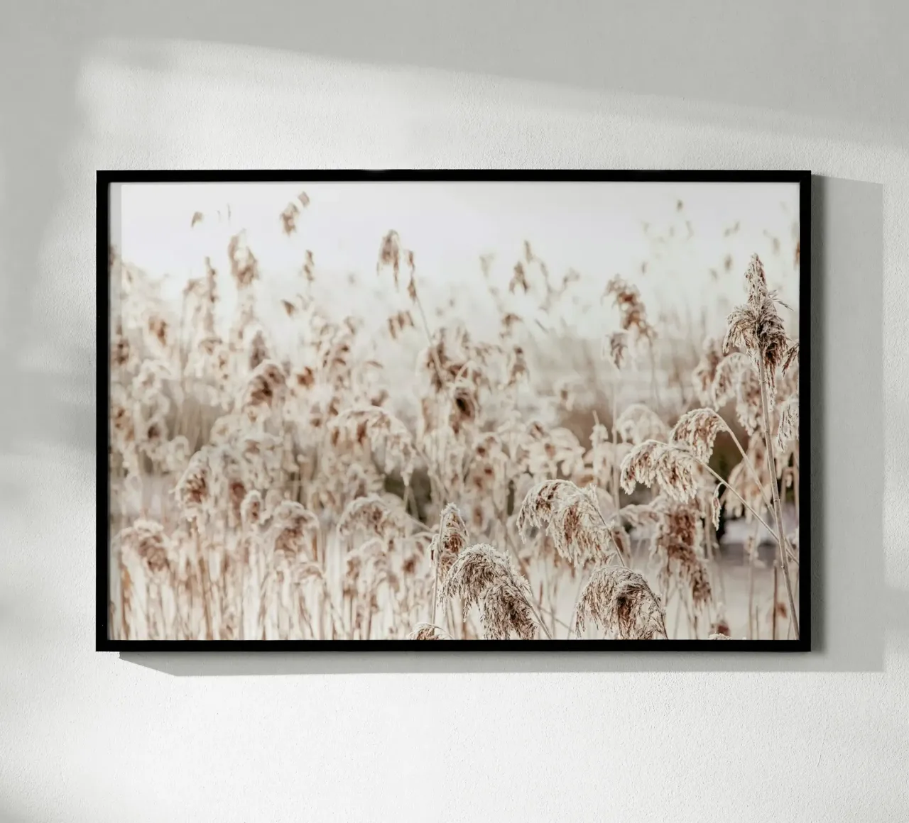 Wild Reeds poster con telaio in alluminio da Monika Strigel