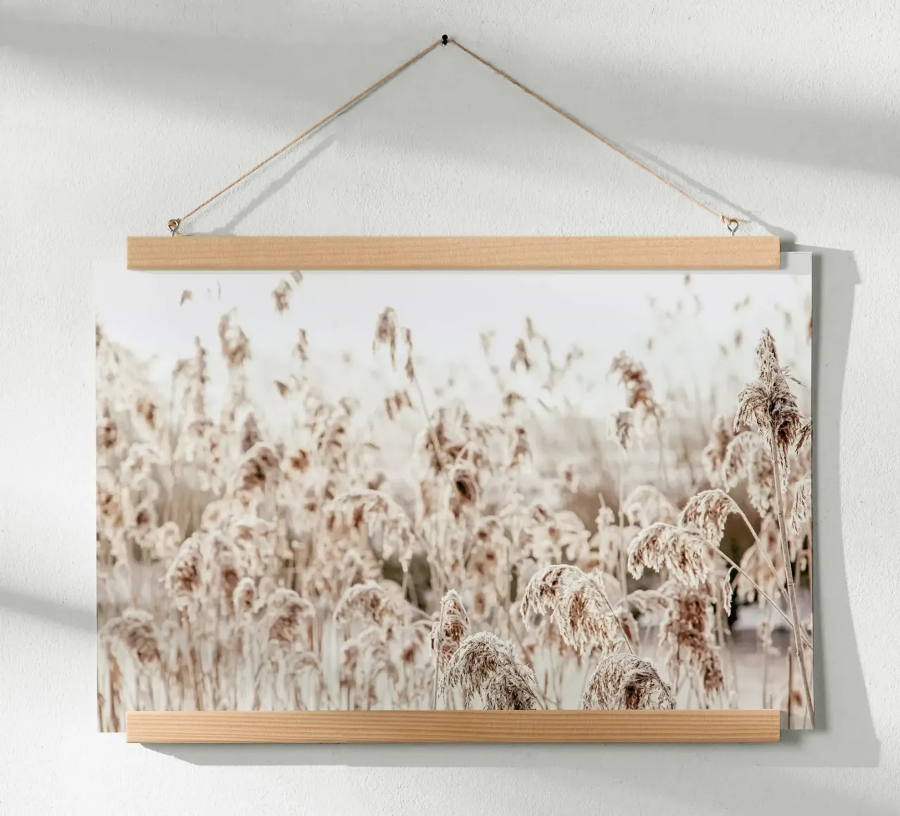 Wild Reeds poster con telaio in alluminio da Monika Strigel