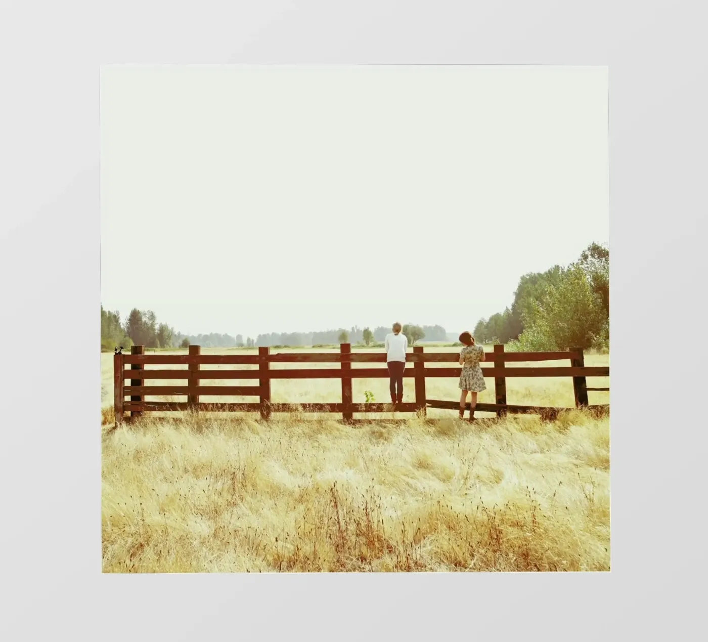 Fence Standing pellicola backlit da Kevin Russ
