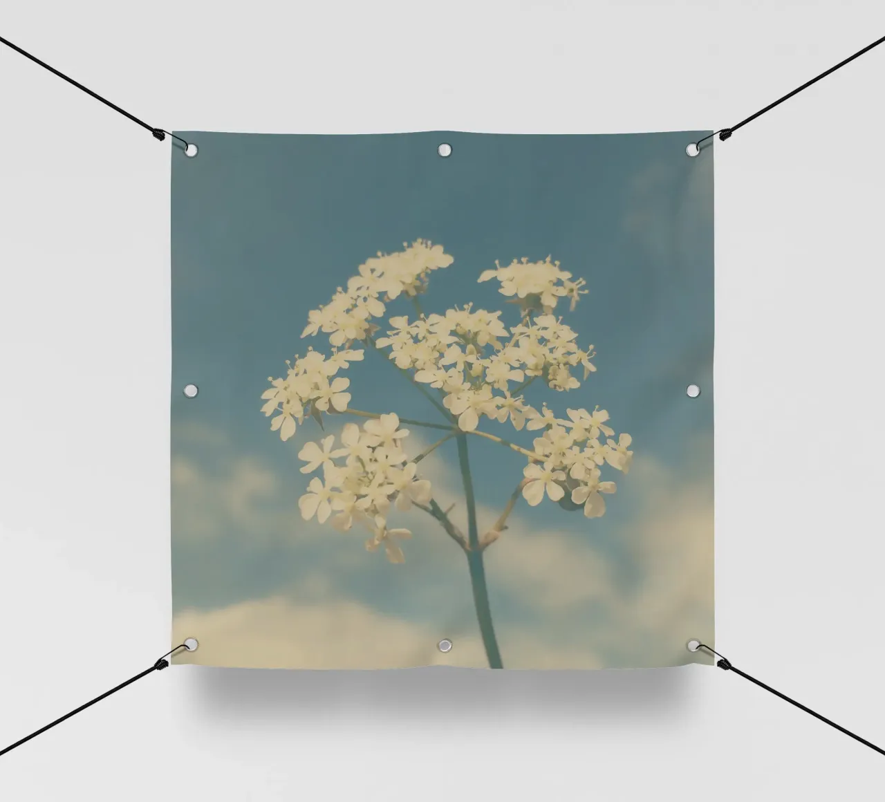 Selvaggio e libero telo in pvc da Cassia Beck Photography