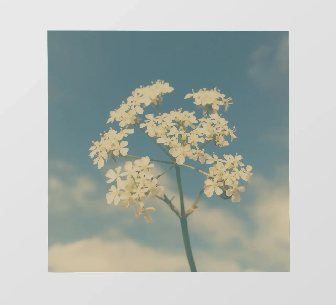 Selvaggio e libero telo in pvc da Cassia Beck Photography
