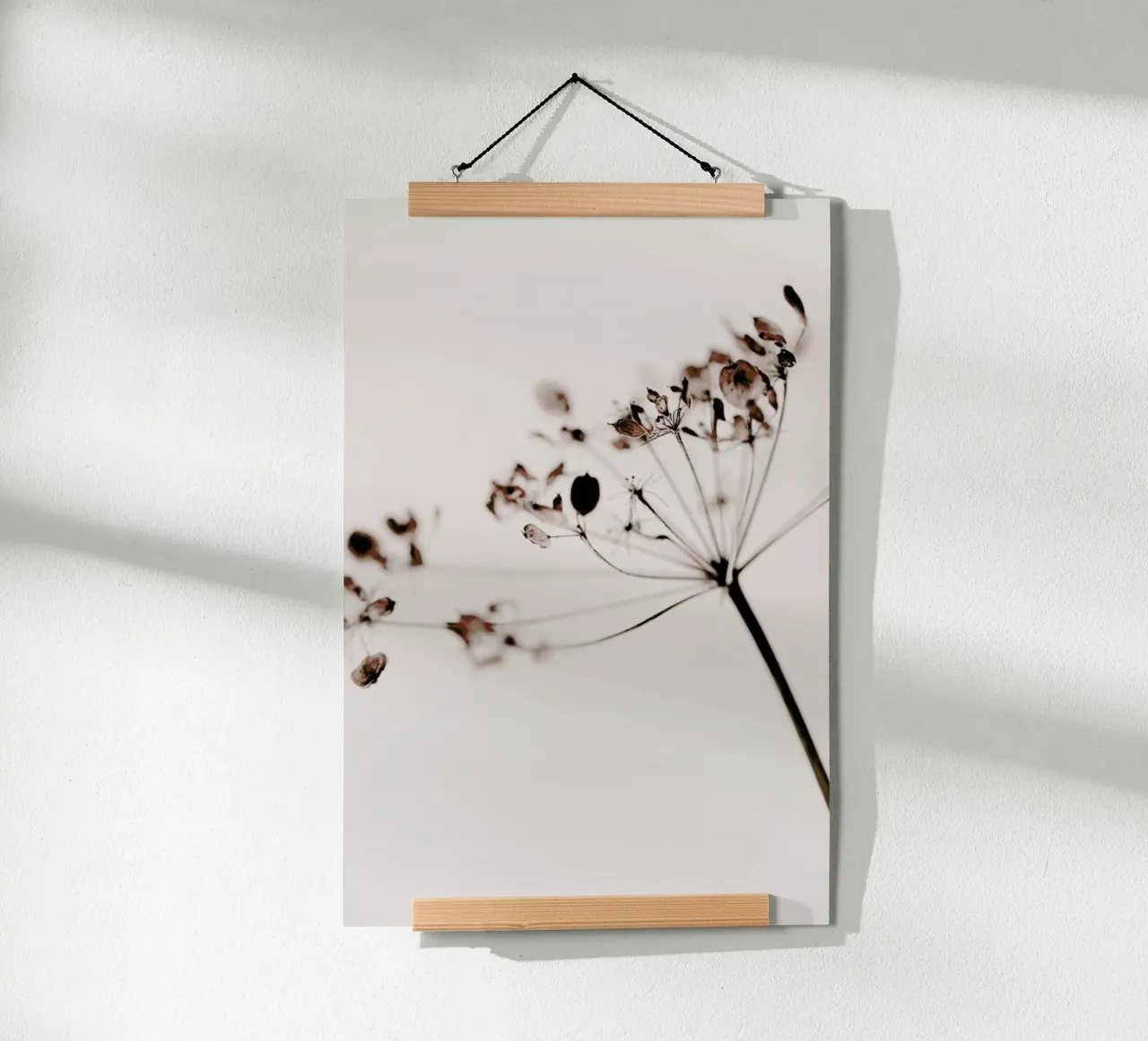 Dried Flowers Anetum 1 carta hahnemühle da Monika Strigel