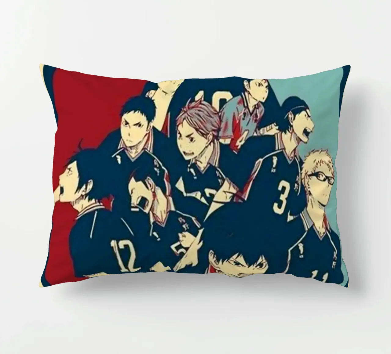 Hinata Shouyo con la troupe cuscino da withandname