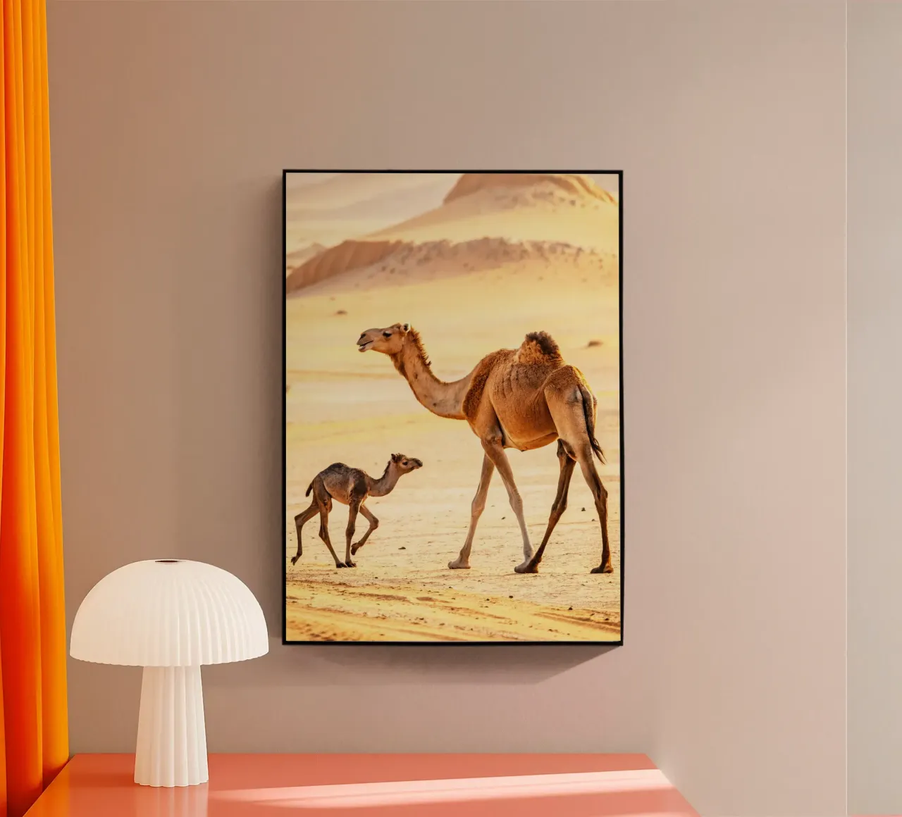 cammello e mamma plexiglass da syabiqo