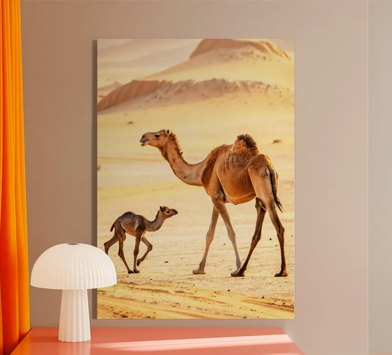 cammello e mamma plexiglass da syabiqo