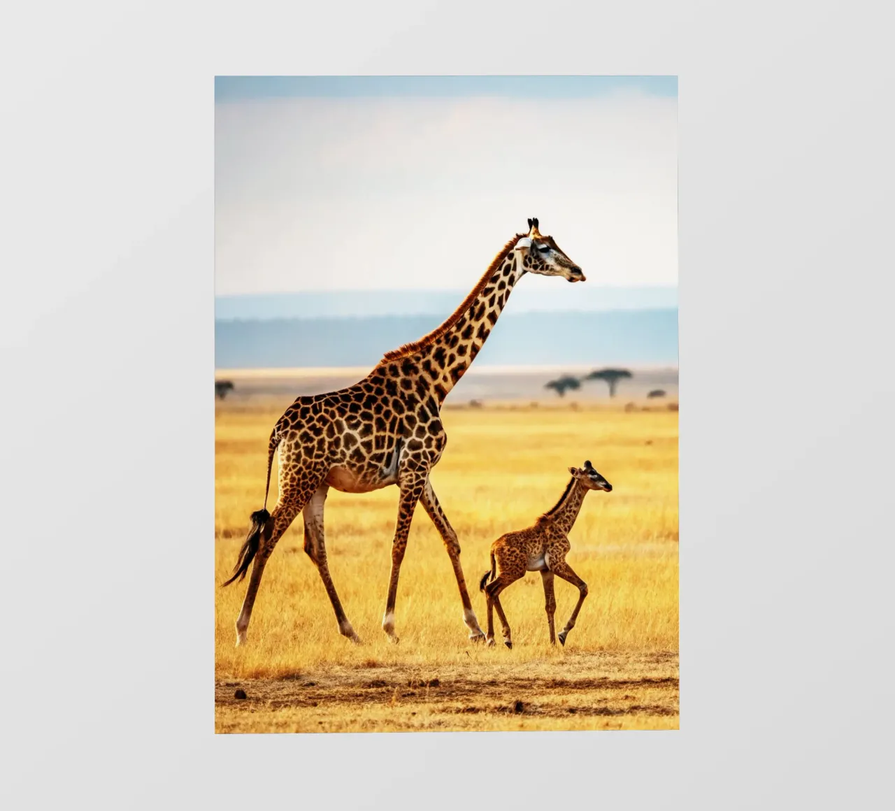 baby giraffe and mom backlit film by syabiqo