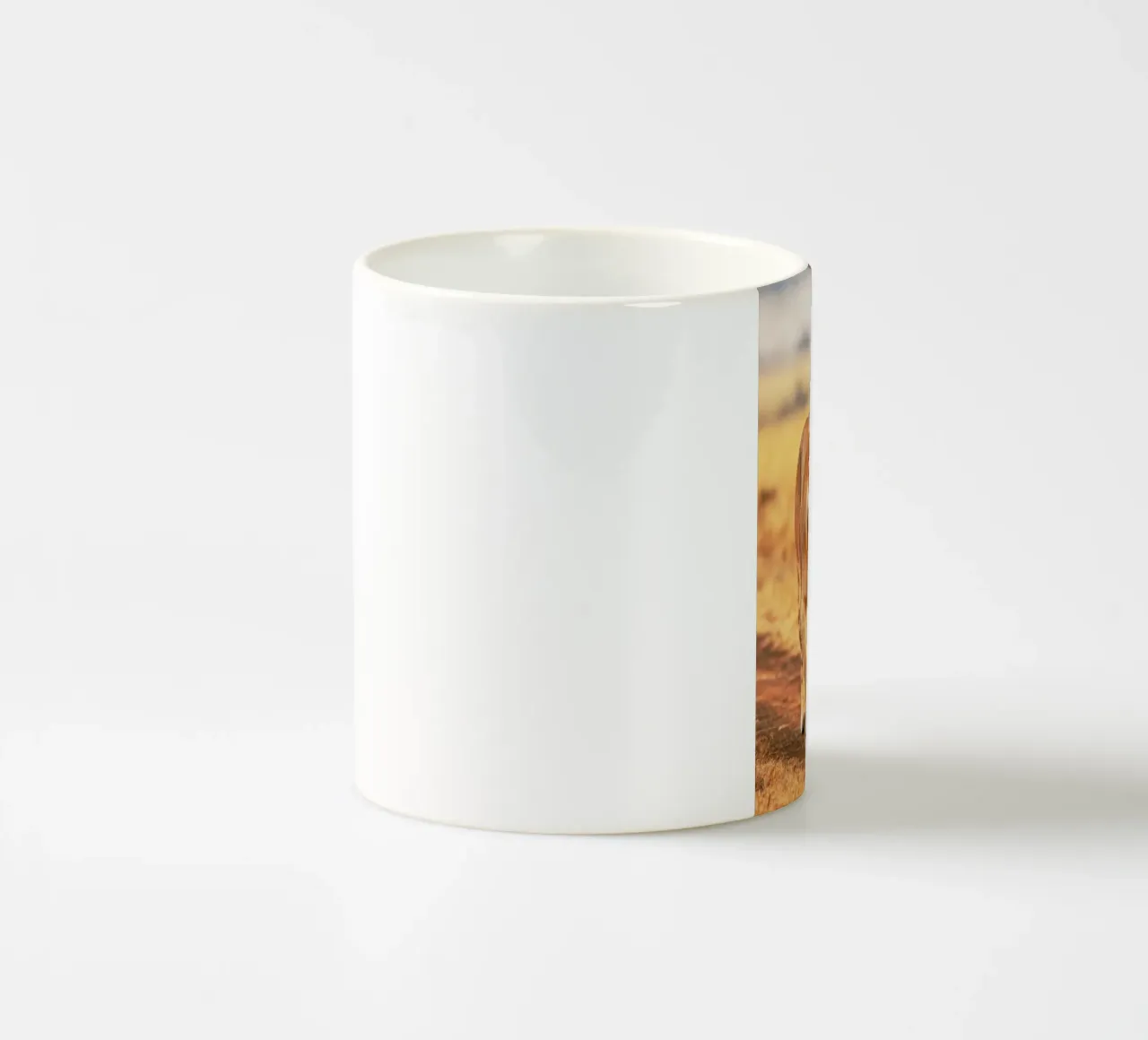 cucciolo di leone e mamma tazza in ceramica da syabiqo