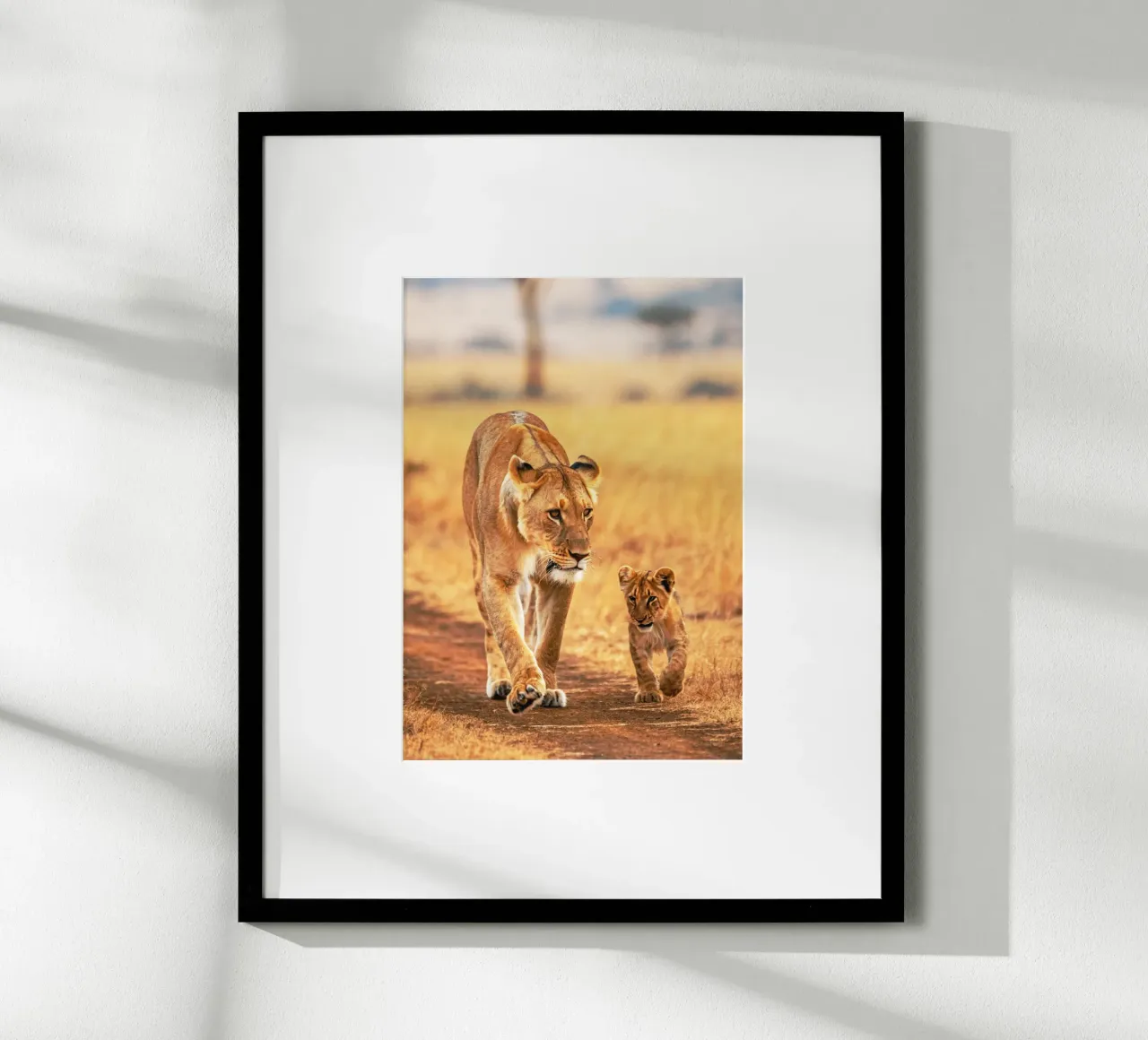 cucciolo di leone e mamma poster con telaio in alluminio da syabiqo