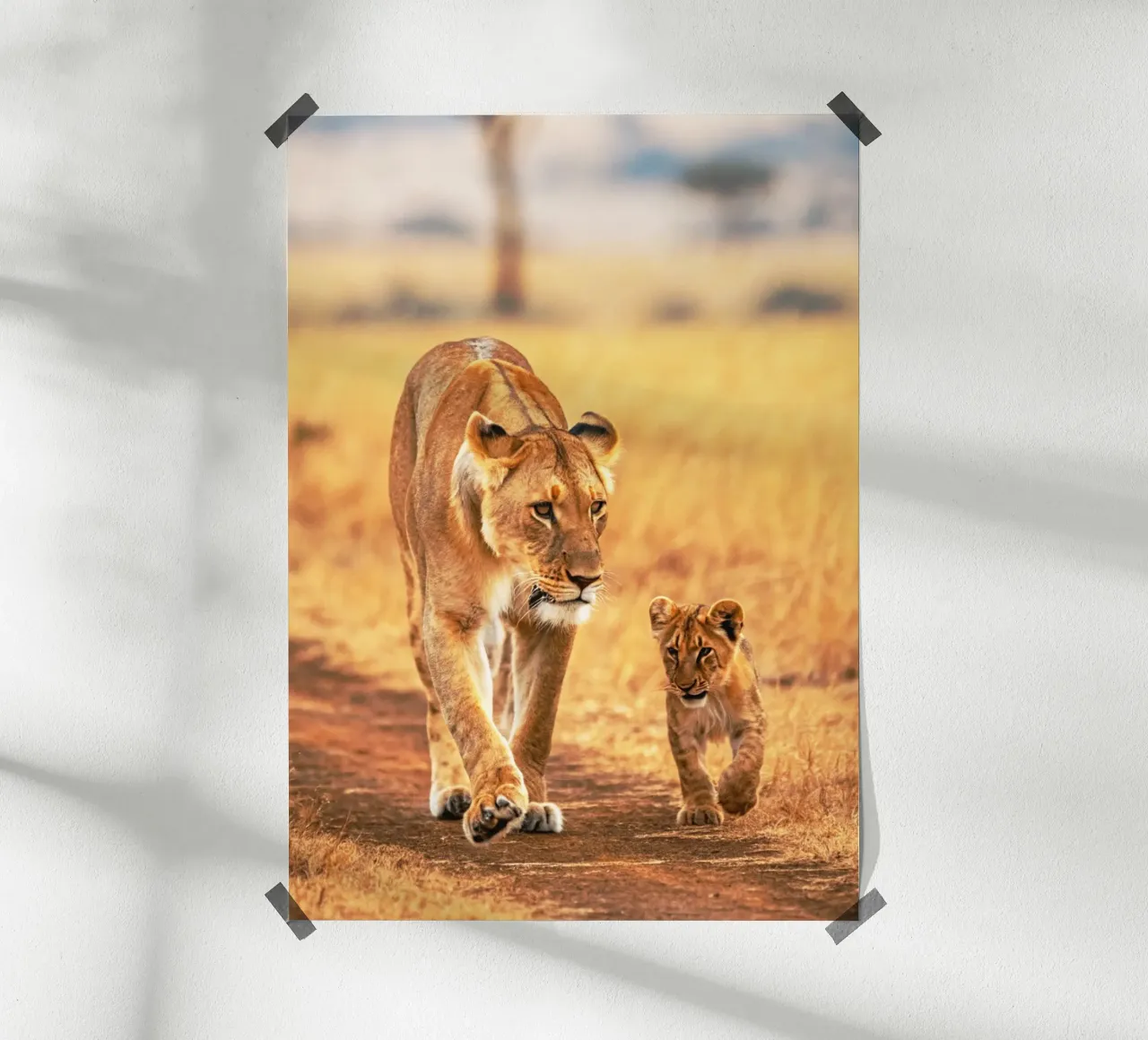 cucciolo di leone e mamma poster con telaio in alluminio da syabiqo
