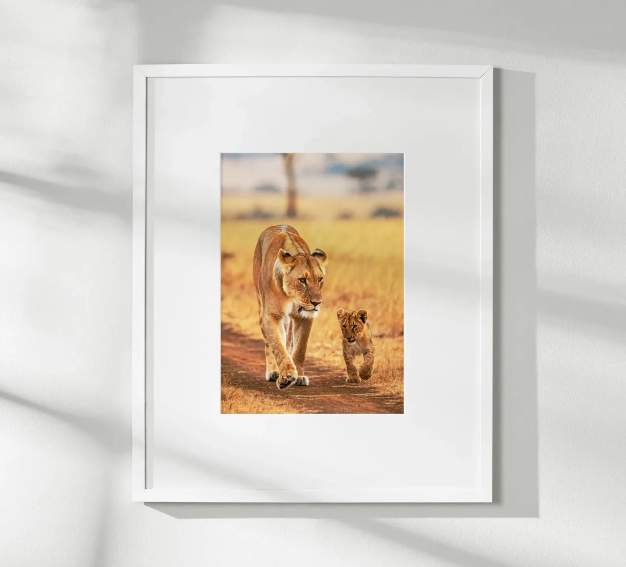 cucciolo di leone e mamma poster con telaio in alluminio da syabiqo