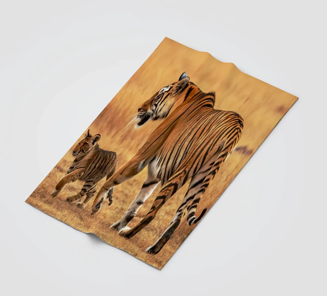 il cucciolo di tigre e la mamma coperta in pile da syabiqo