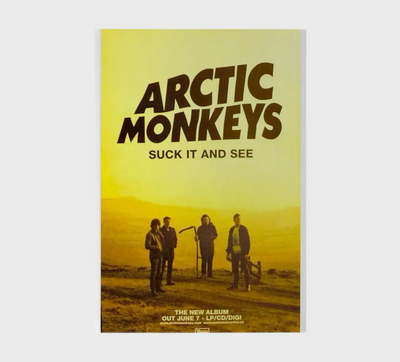 Suck It and See Flayer Artic Monkeys (en anglais) carnet de notes de Music Life