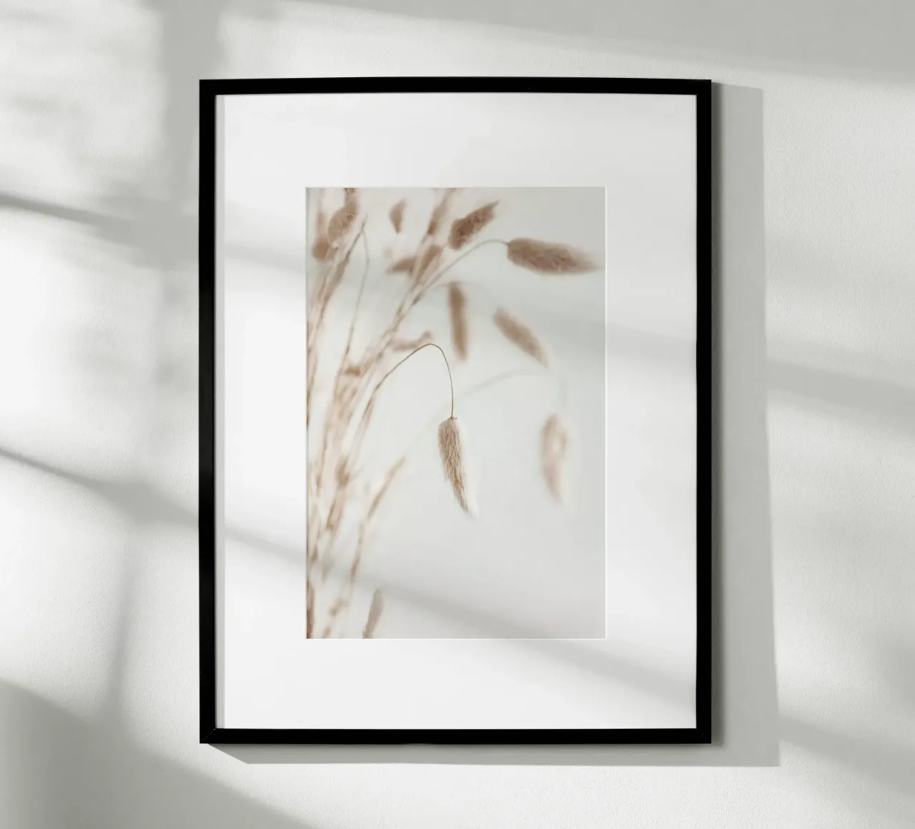 Dried Flowers Lagurus1 - Samtgras poster con telaio in plastica da Monika Strigel