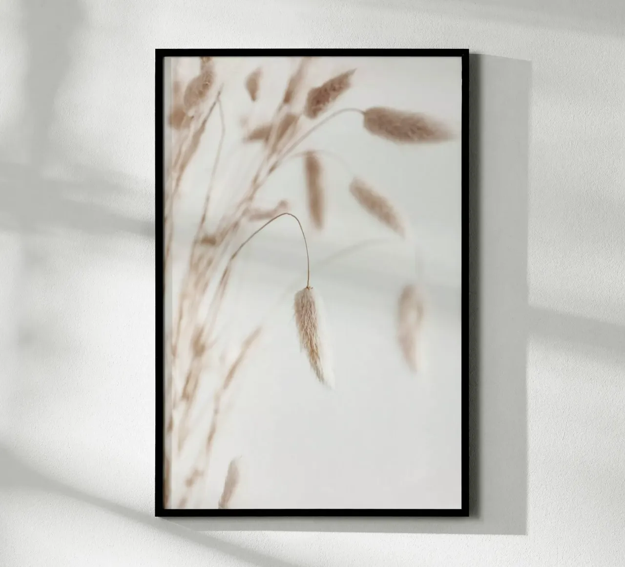 Dried Flowers Lagurus1 - Samtgras poster con telaio in plastica da Monika Strigel