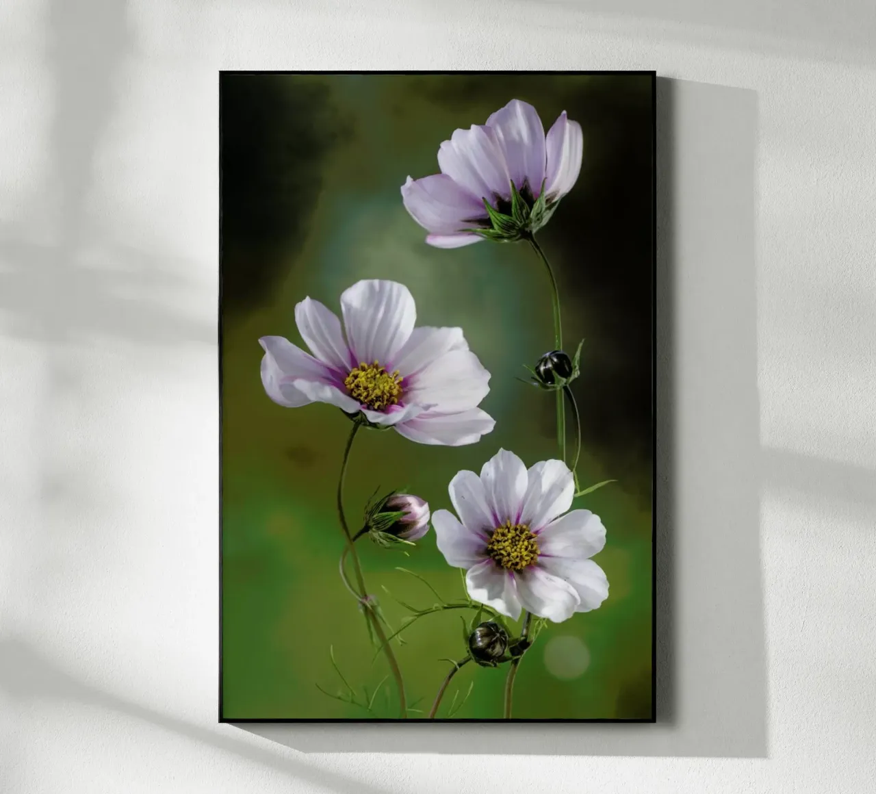 Cosmos - Mandy Disher plexiglass da Pictufy