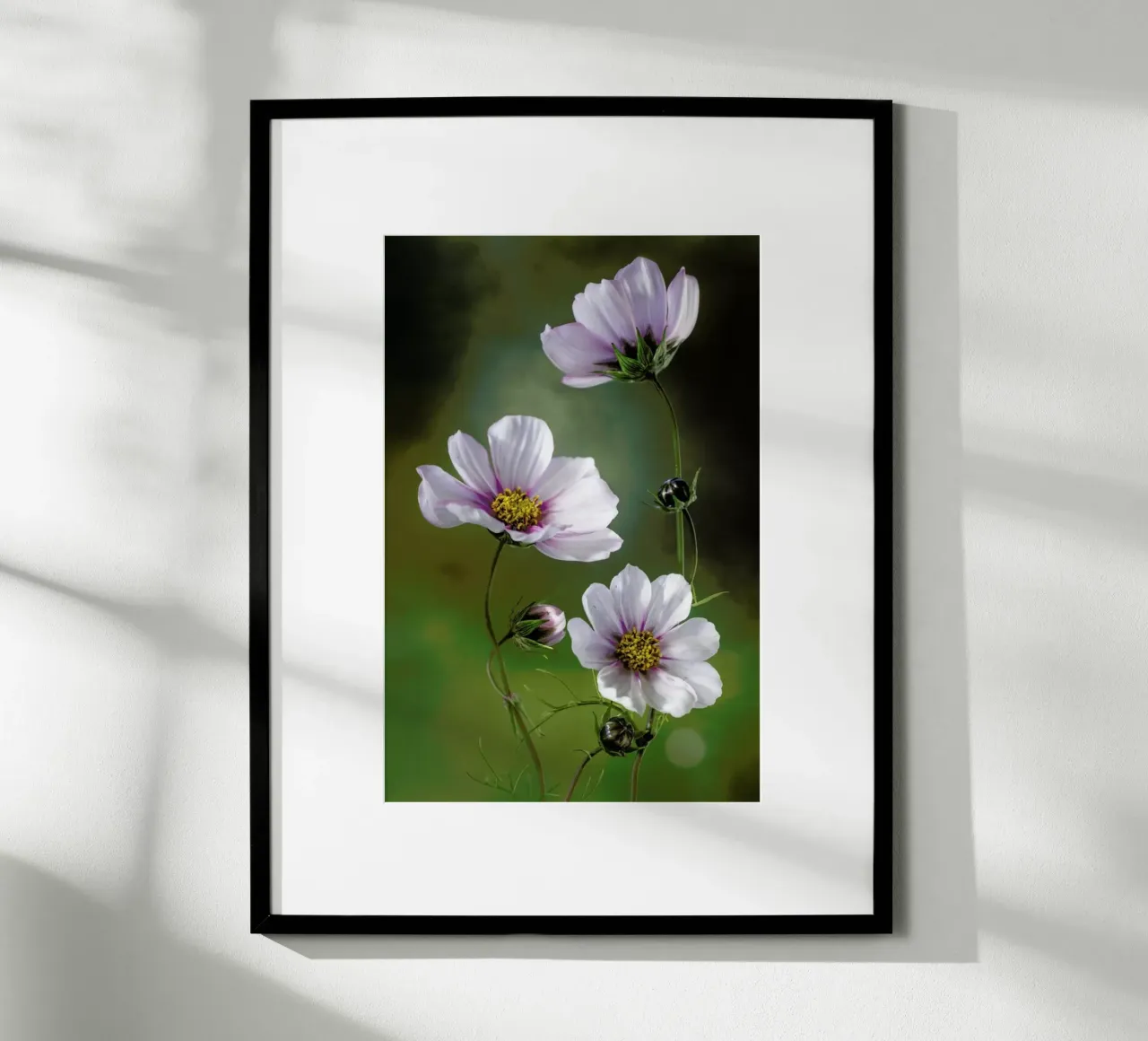 Cosmos - Mandy Disher carta hahnemühle da Pictufy
