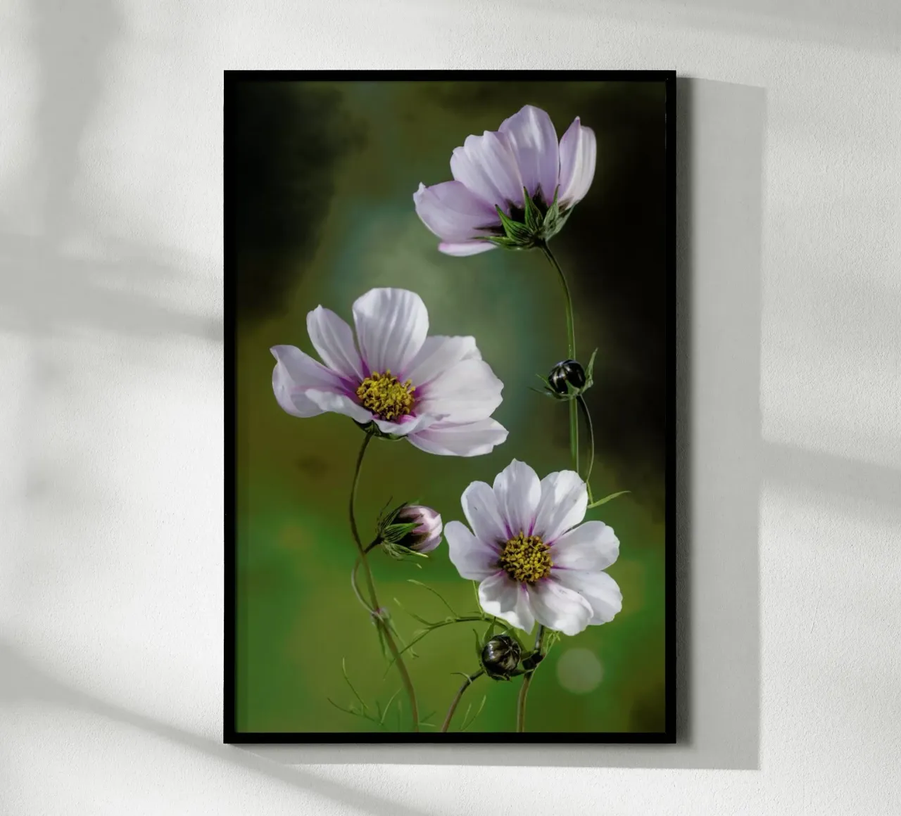 Cosmos - Mandy Disher carta hahnemühle da Pictufy