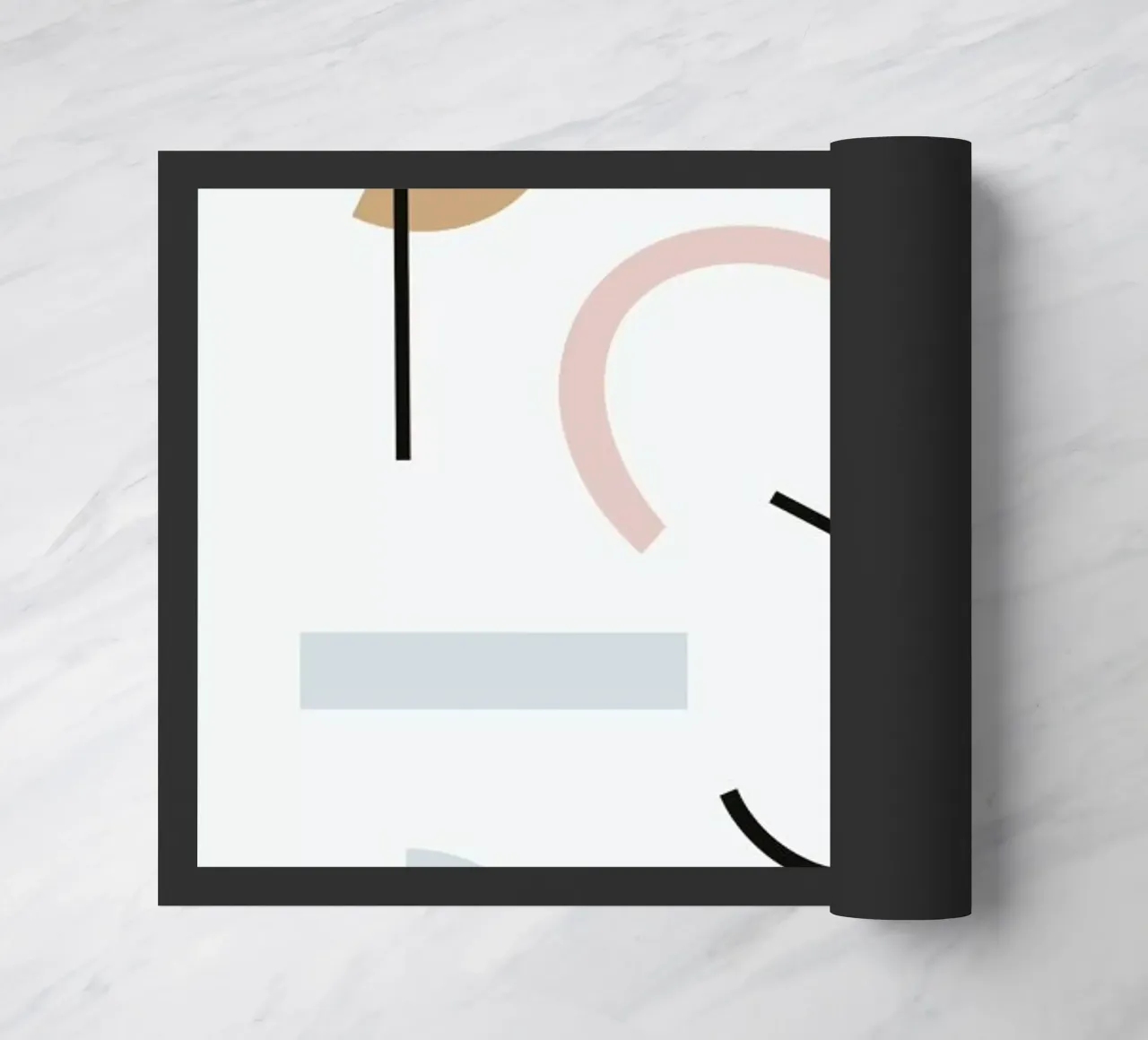 Adelpha zerbino da Charlotte Winter