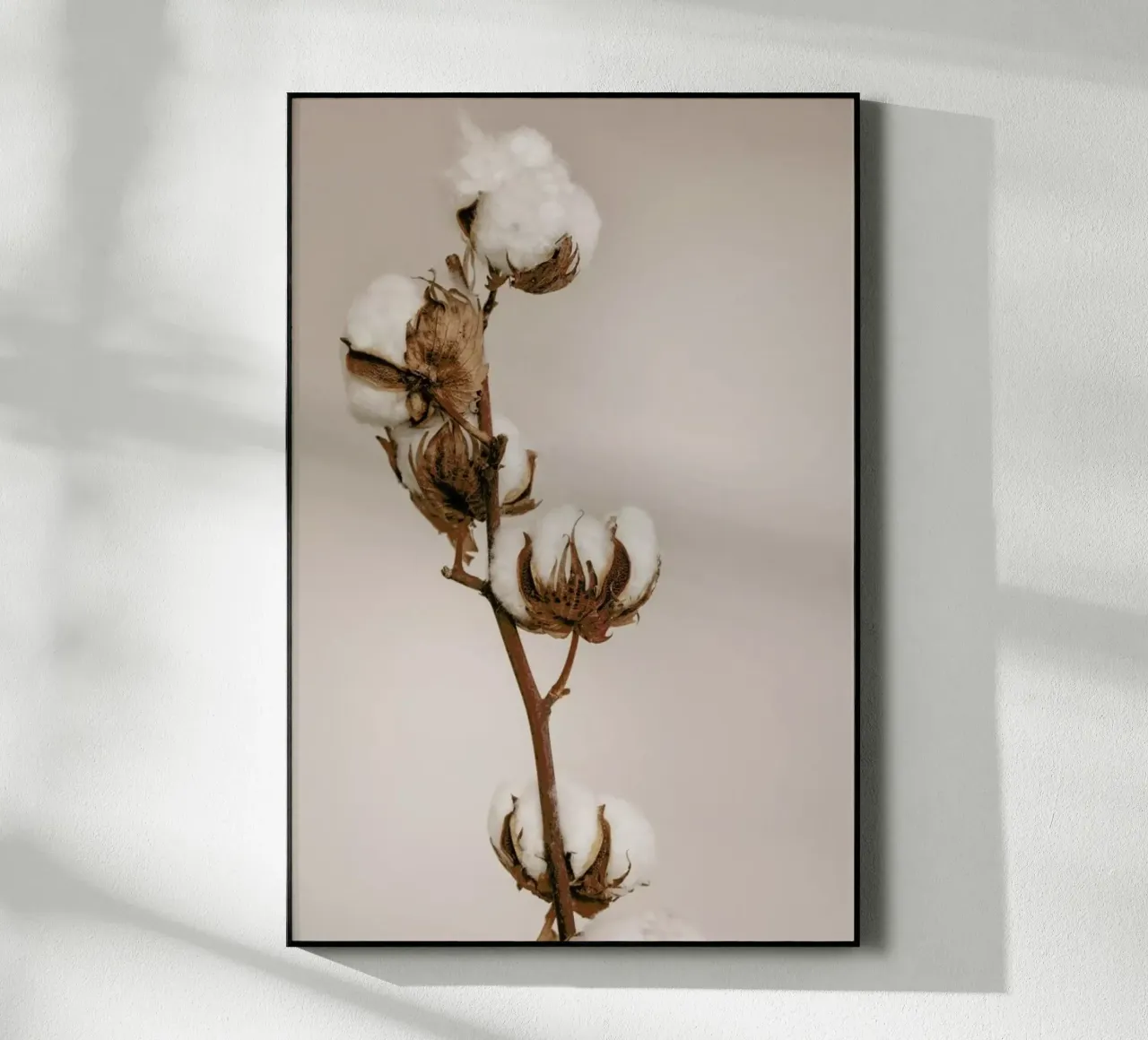 Cotton Flower plexiglass da Monika Strigel