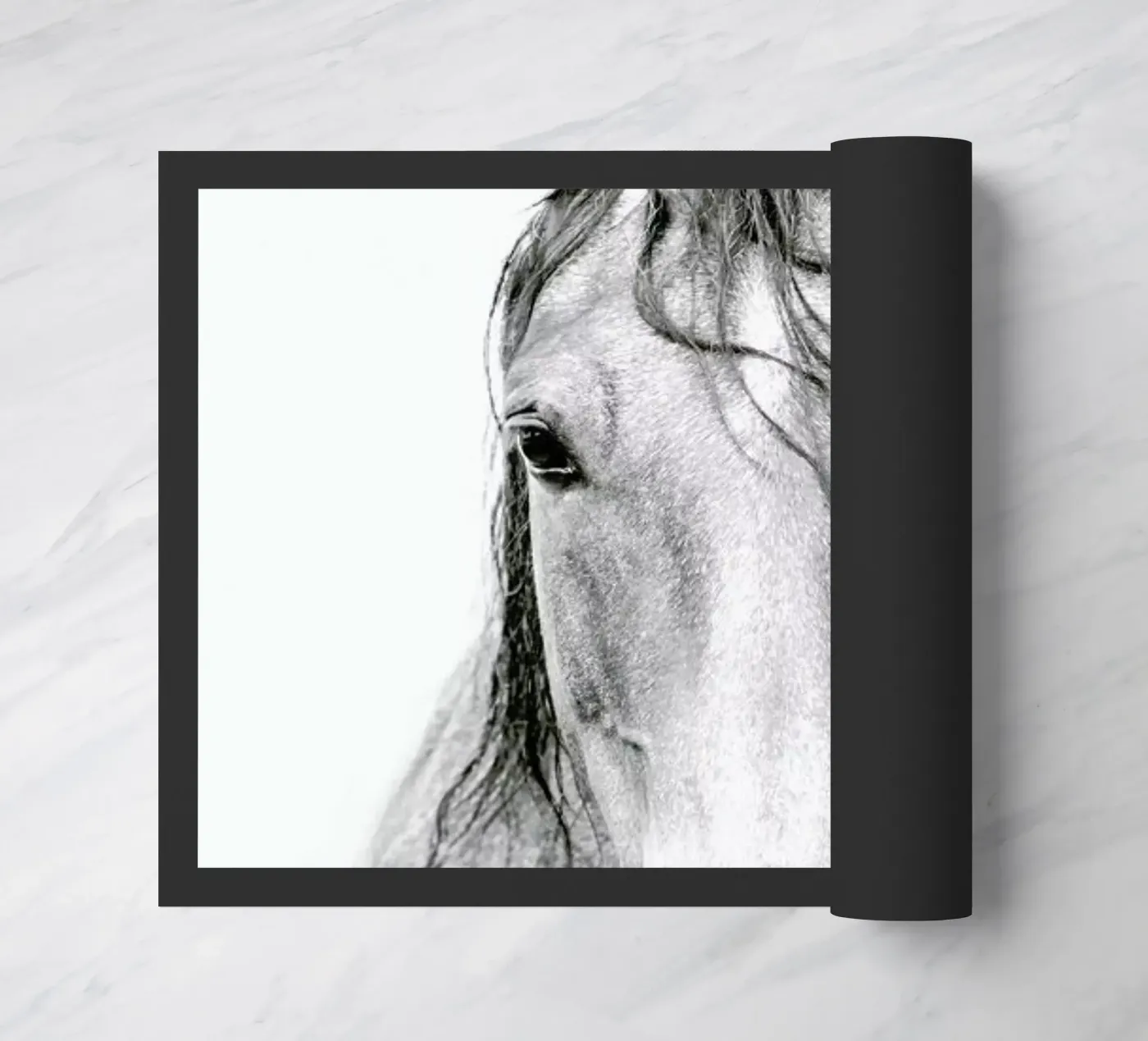 Horse I zerbino da Victoria Frost