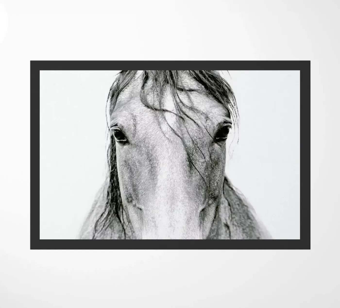 Horse I zerbino da Victoria Frost