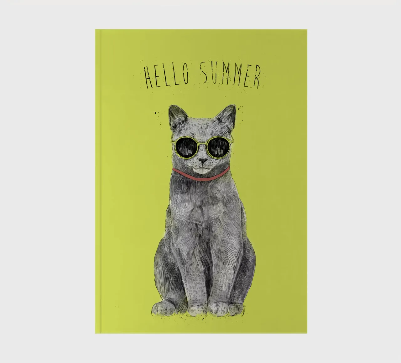 Hello Summer 2 diario da Balazs Solti